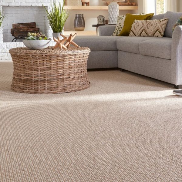 carpet - family room